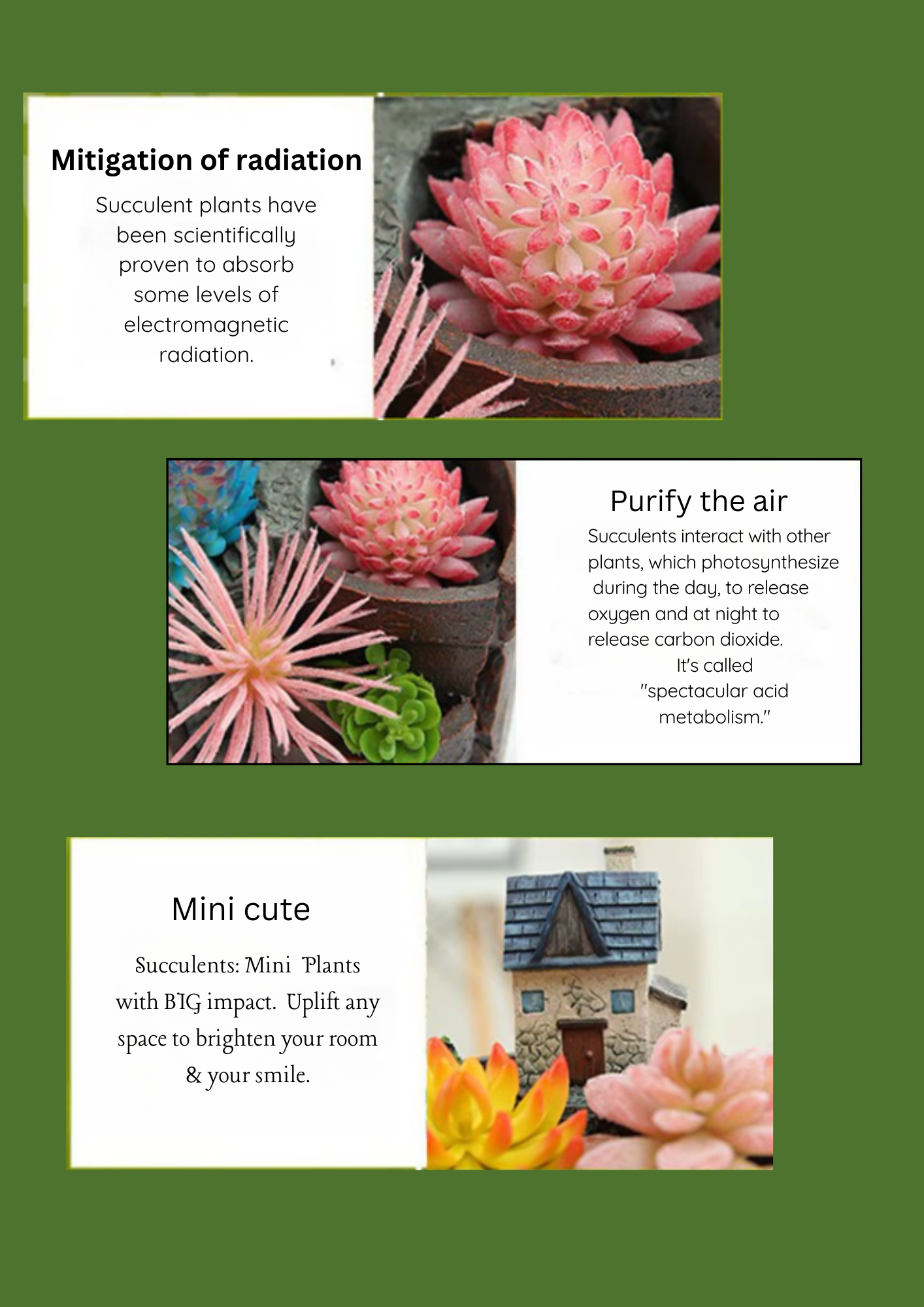 Enchanted Terrace Fairy Garden/ Succulent Planter