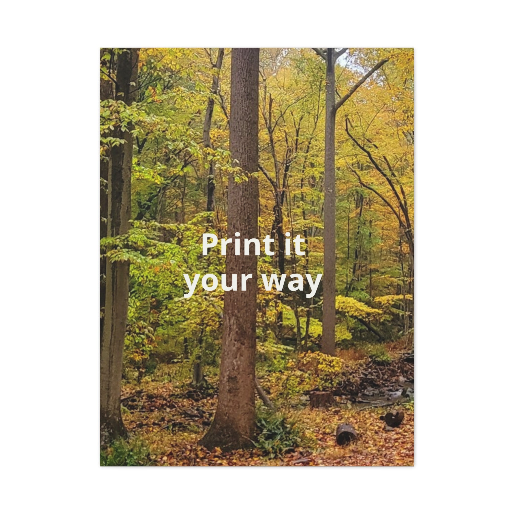 Matte Canvas, Stretched, 1.25"