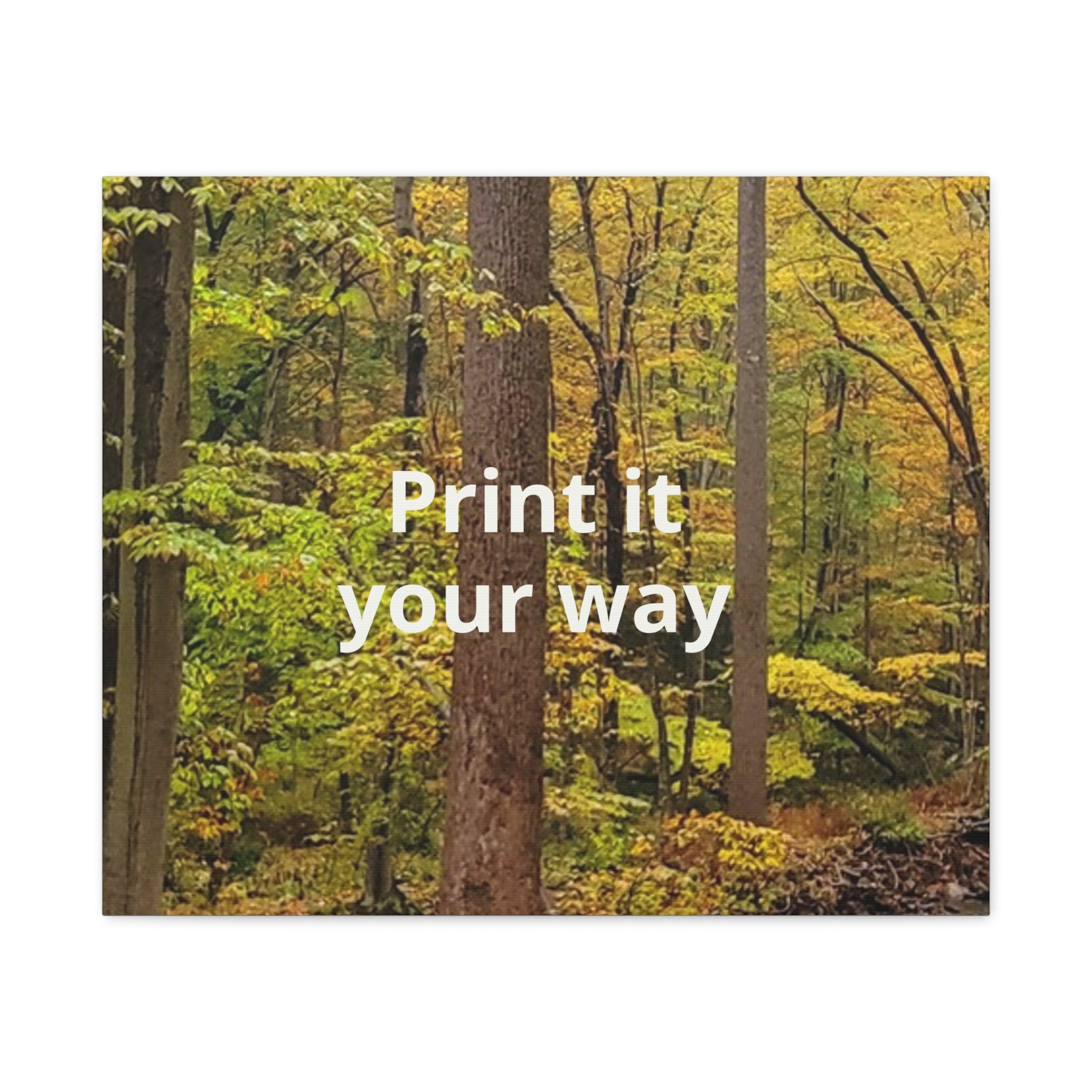 Matte Canvas, Stretched, 1.25"