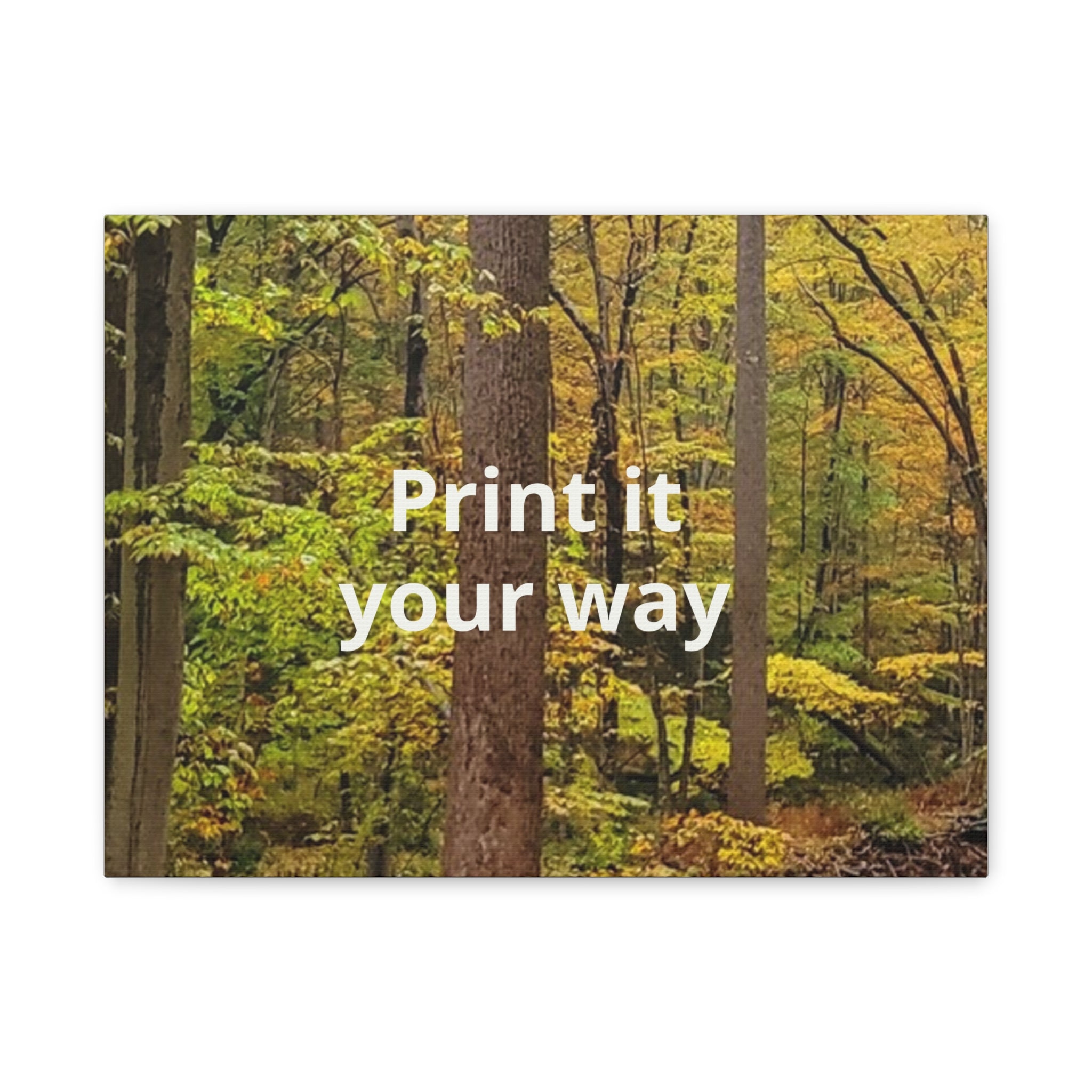 Matte Canvas, Stretched, 1.25"