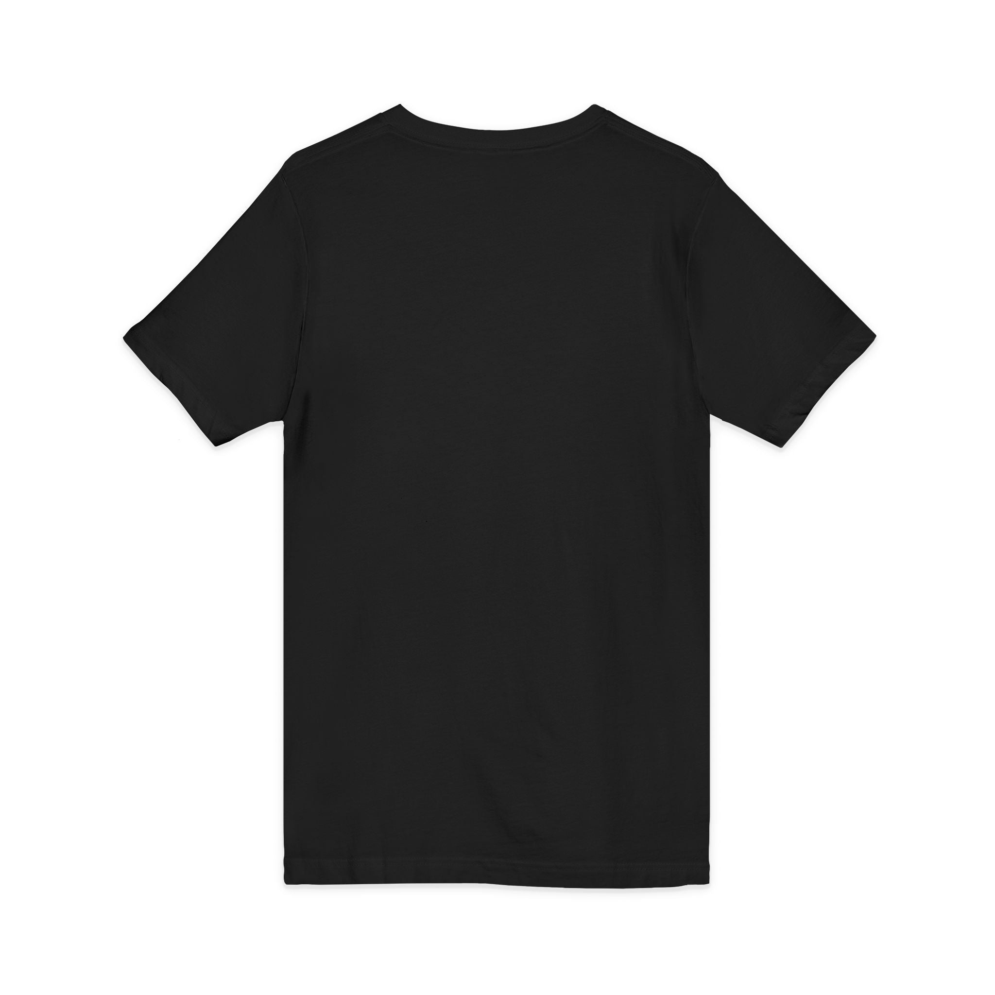America Social Club V‑Neck Tee — Patriotic USA Flag T‑Shirt (Land of the Free)
