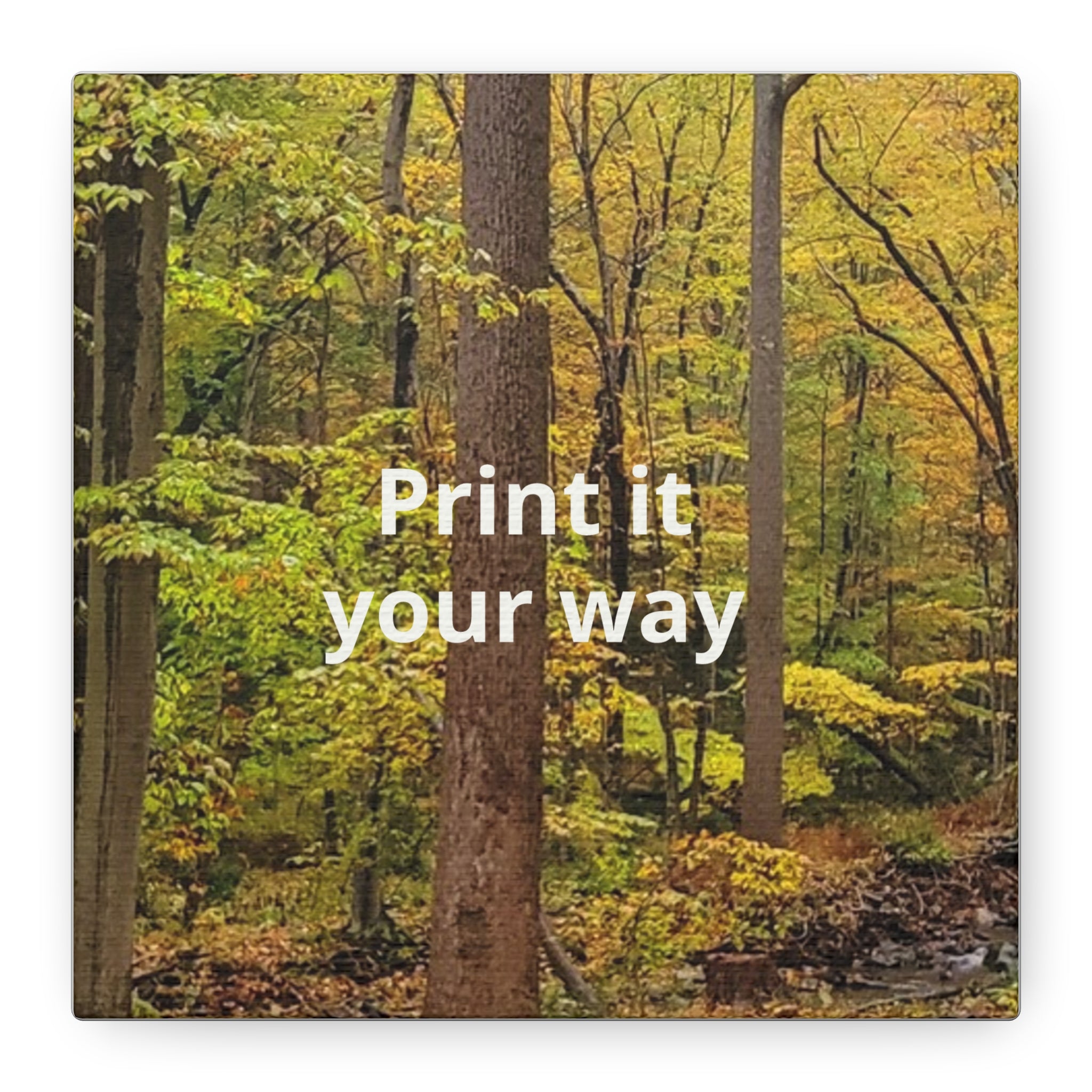 Matte Canvas, Stretched, 1.25"