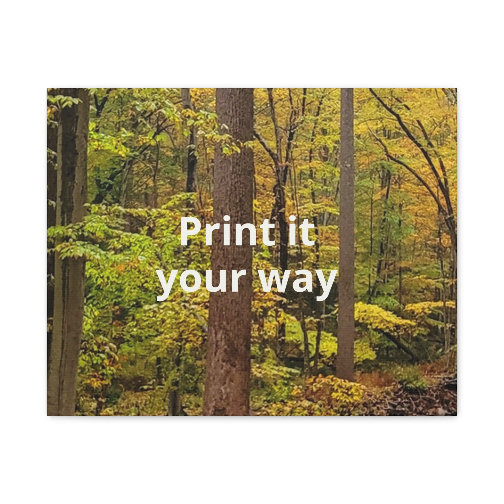 Matte Canvas, Stretched, 1.25"