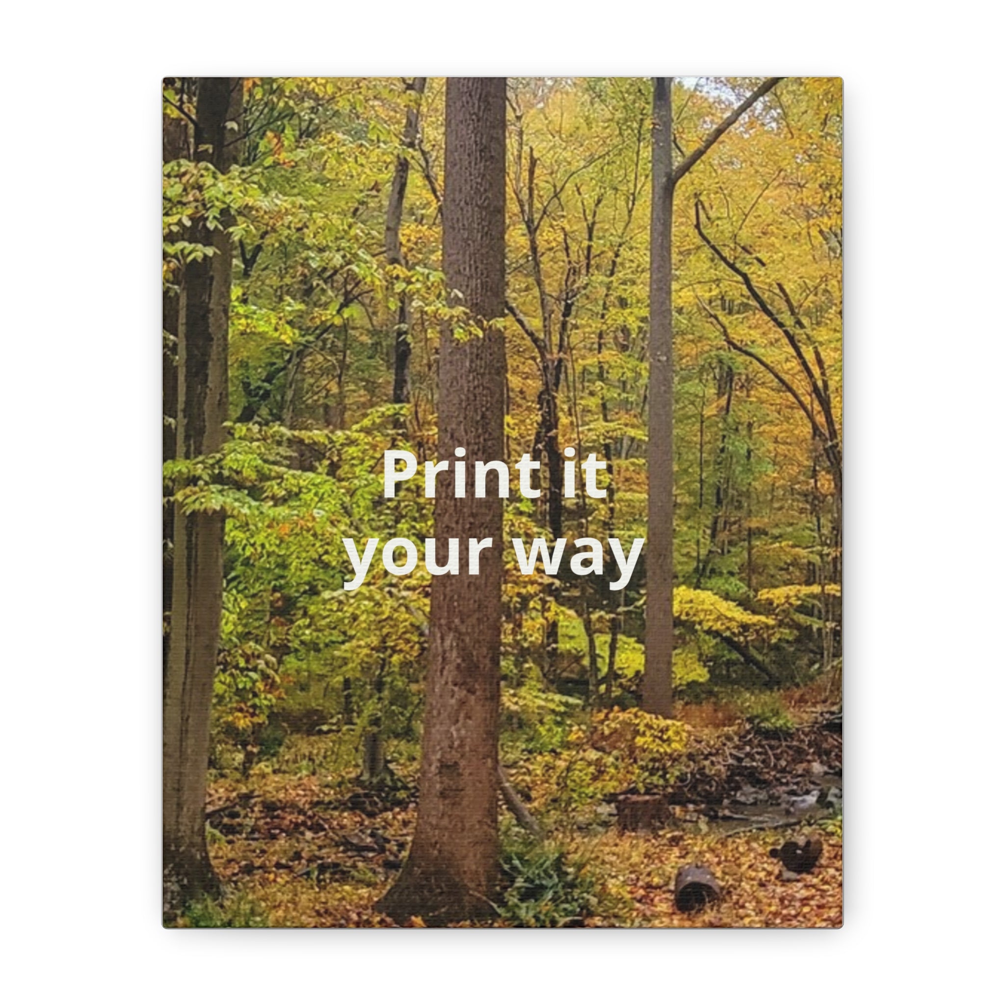 Matte Canvas, Stretched, 1.25"