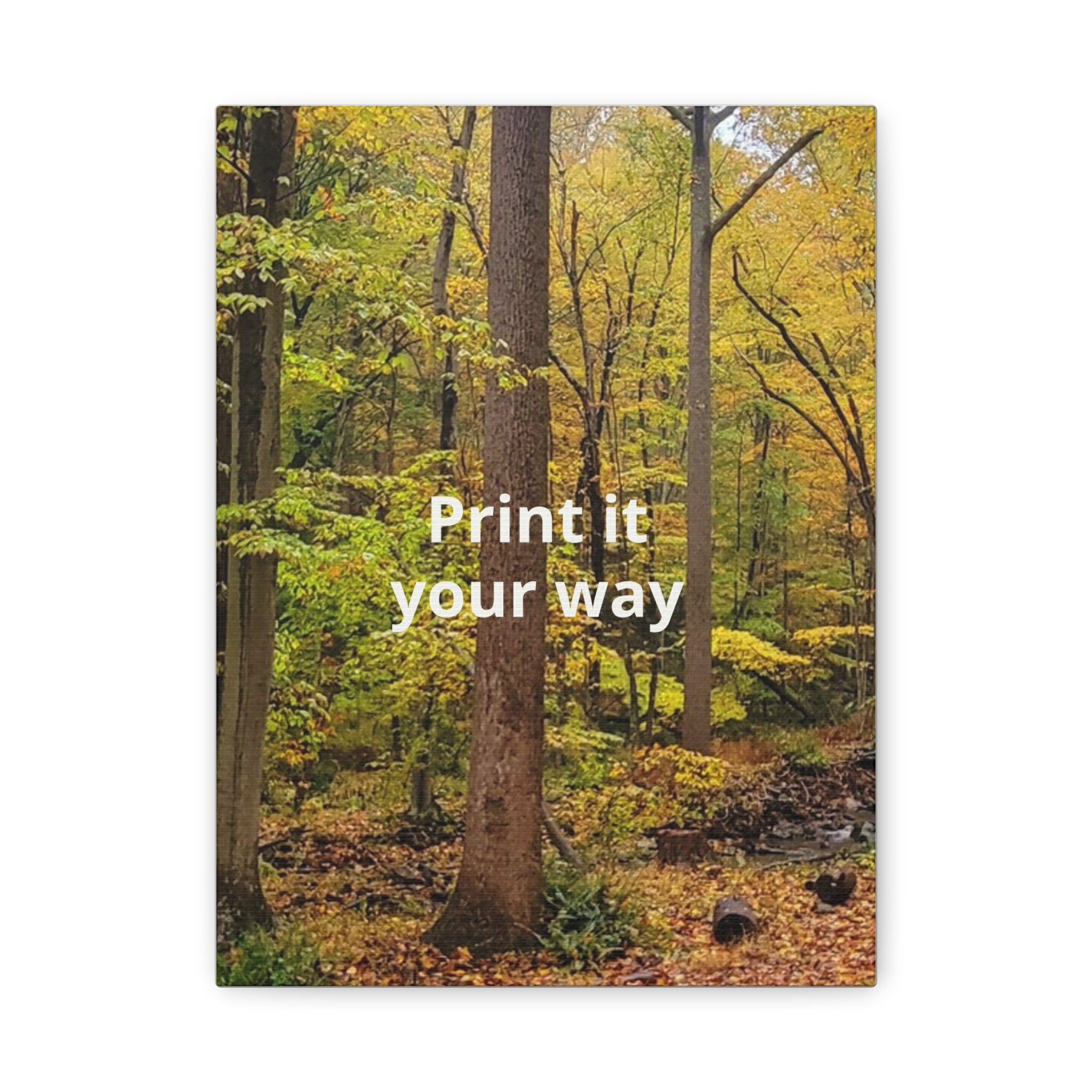 Matte Canvas, Stretched, 1.25"
