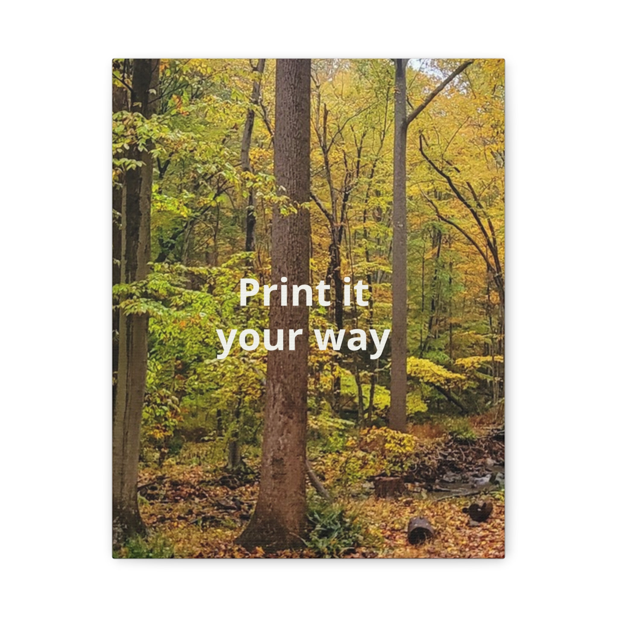 Matte Canvas, Stretched, 1.25"