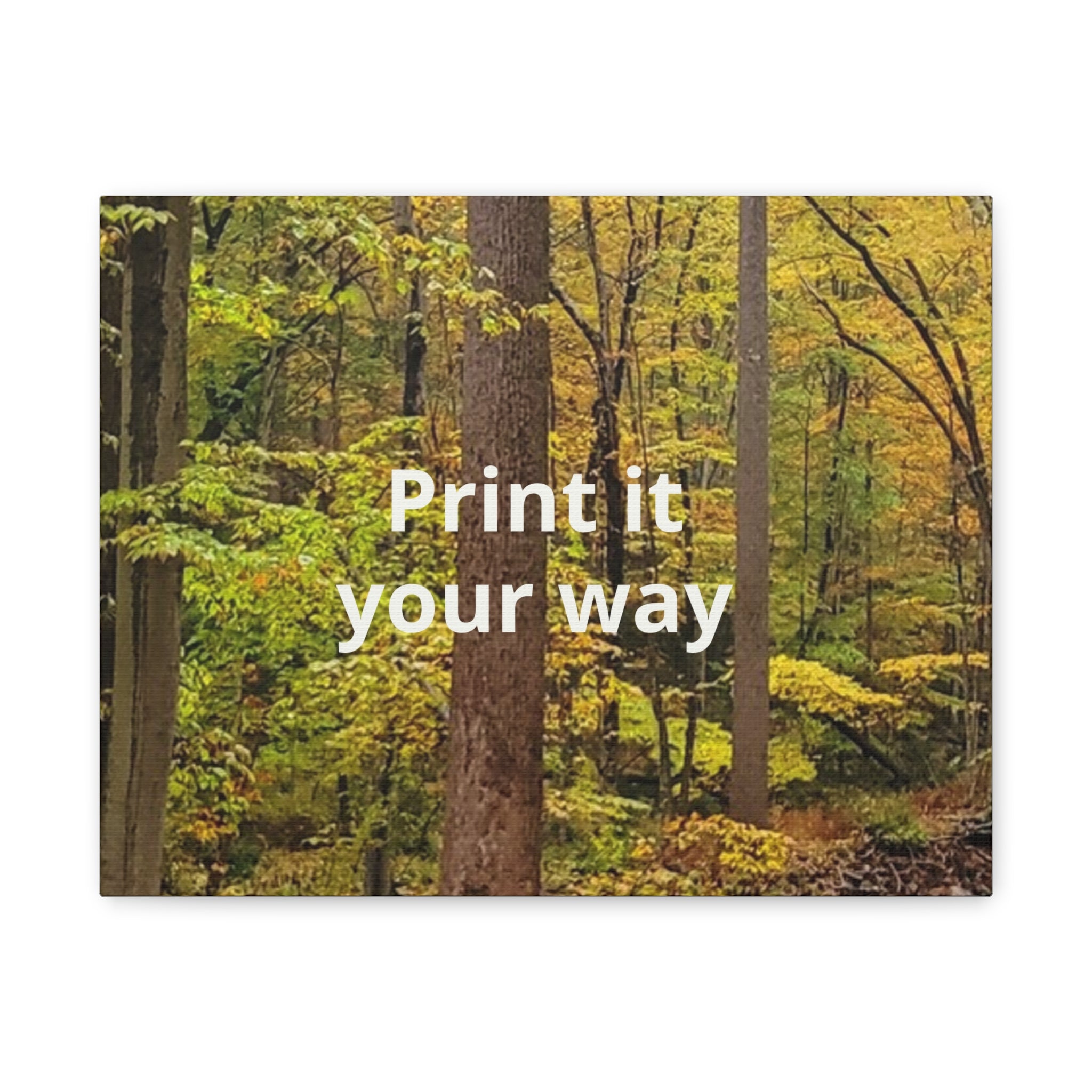 Matte Canvas, Stretched, 1.25"