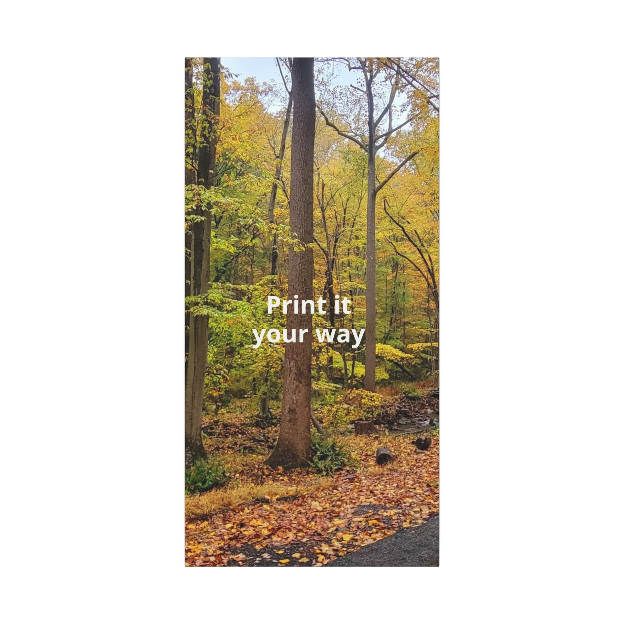 Matte Canvas, Stretched, 1.25"