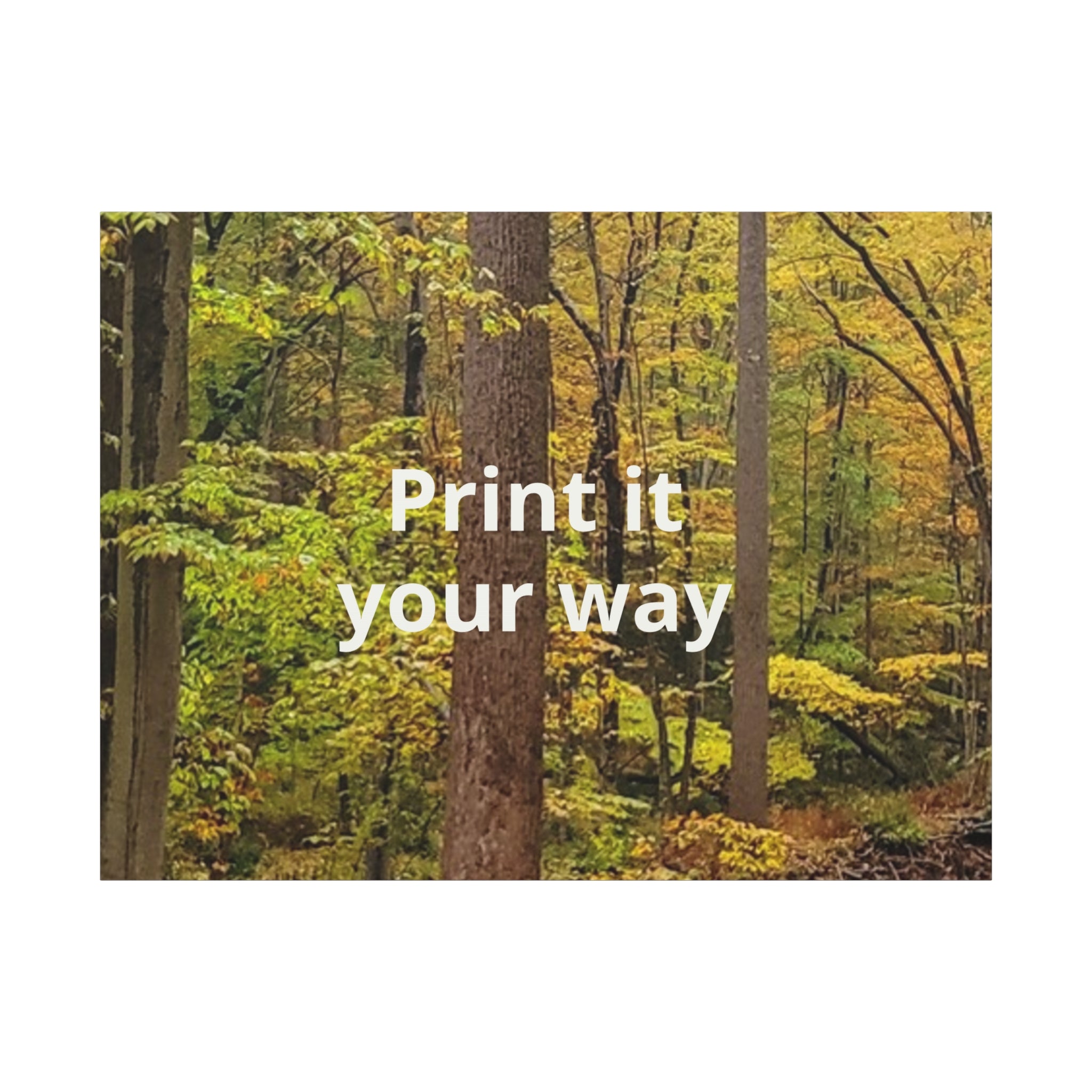 Matte Canvas, Stretched, 1.25"