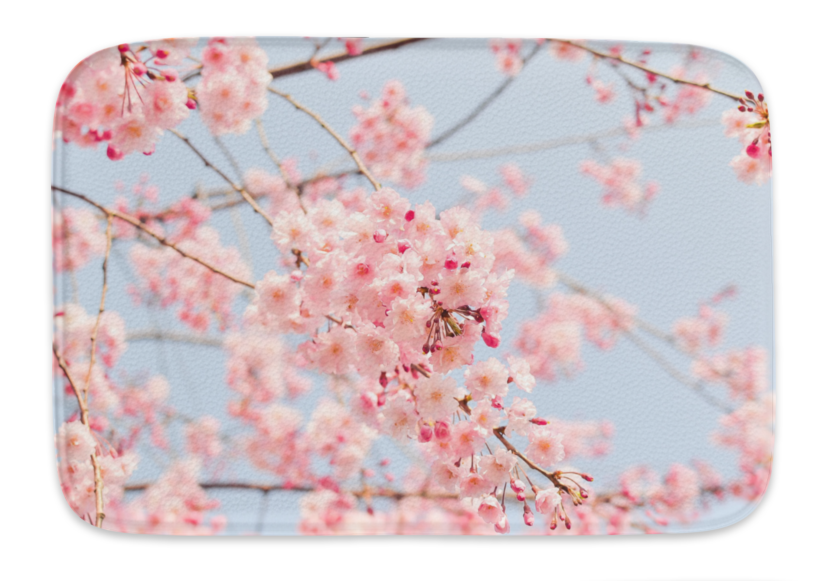 Cherry Blossom Bathroom Bundle