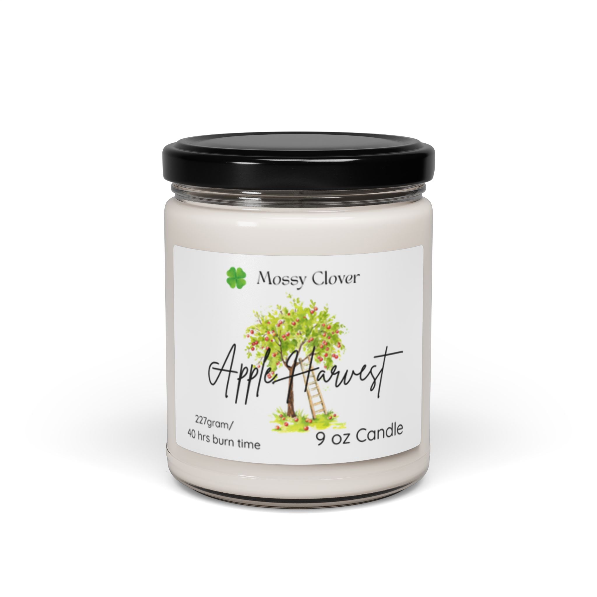 Scented Soy Candle, 9oz