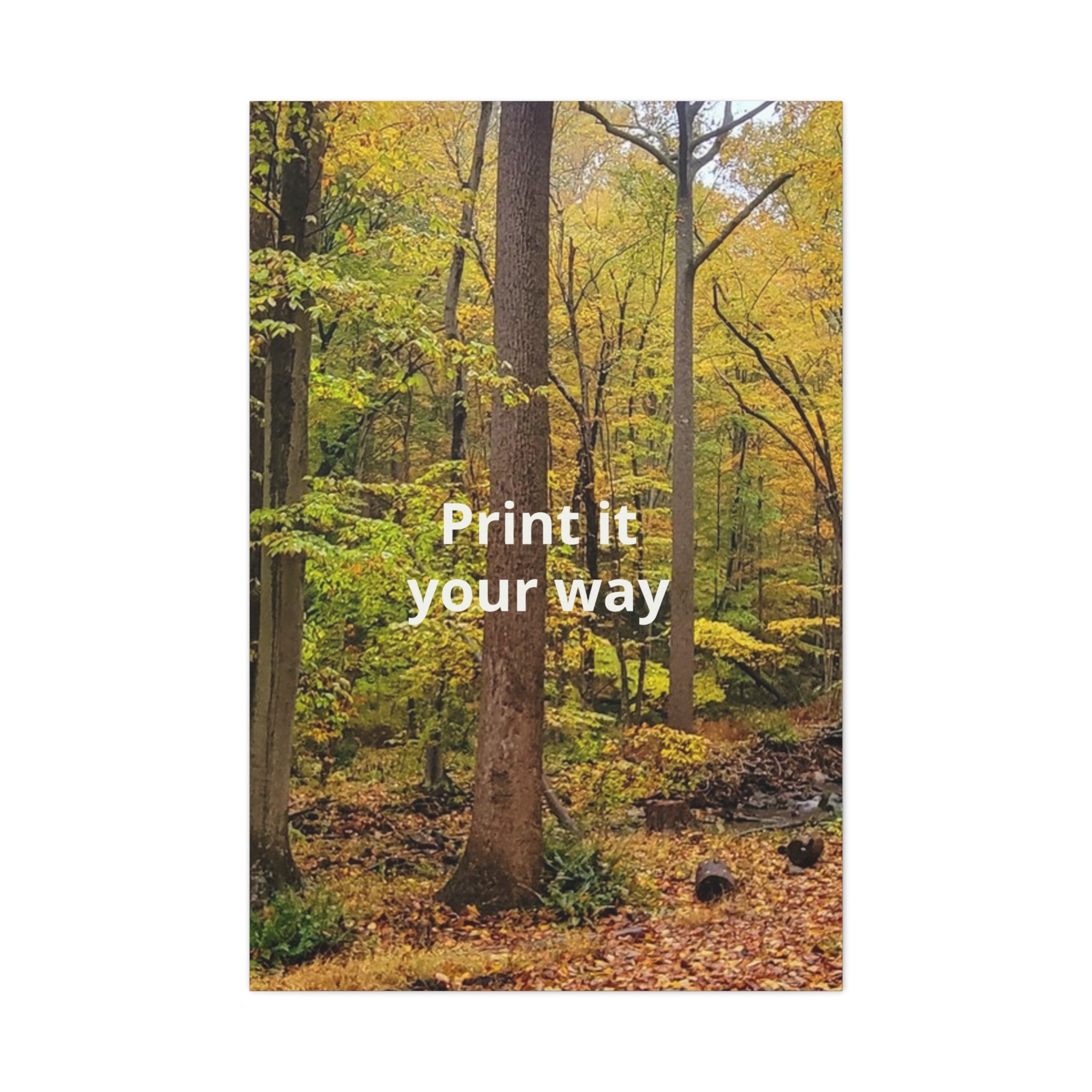 Matte Canvas, Stretched, 1.25"