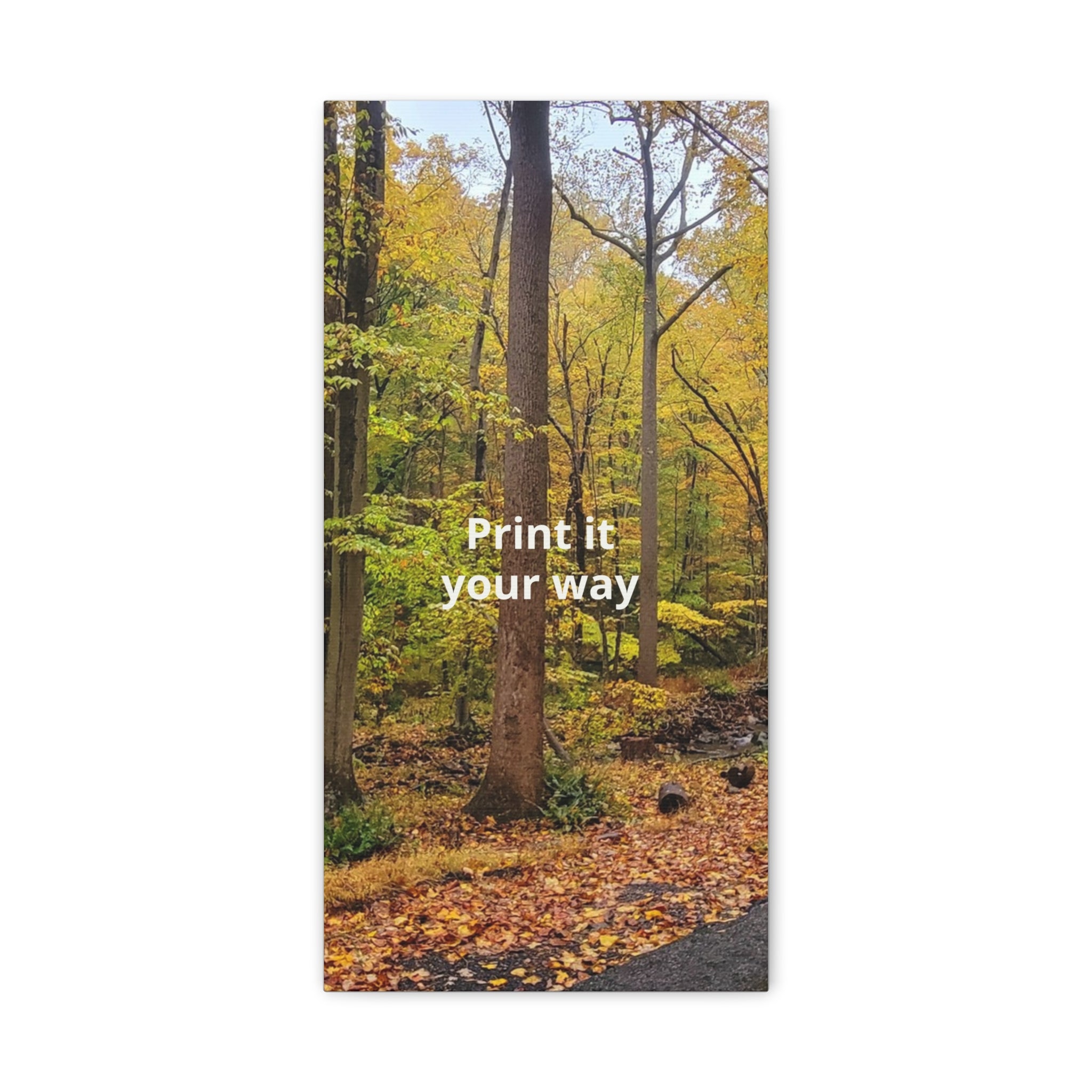 Matte Canvas, Stretched, 1.25"