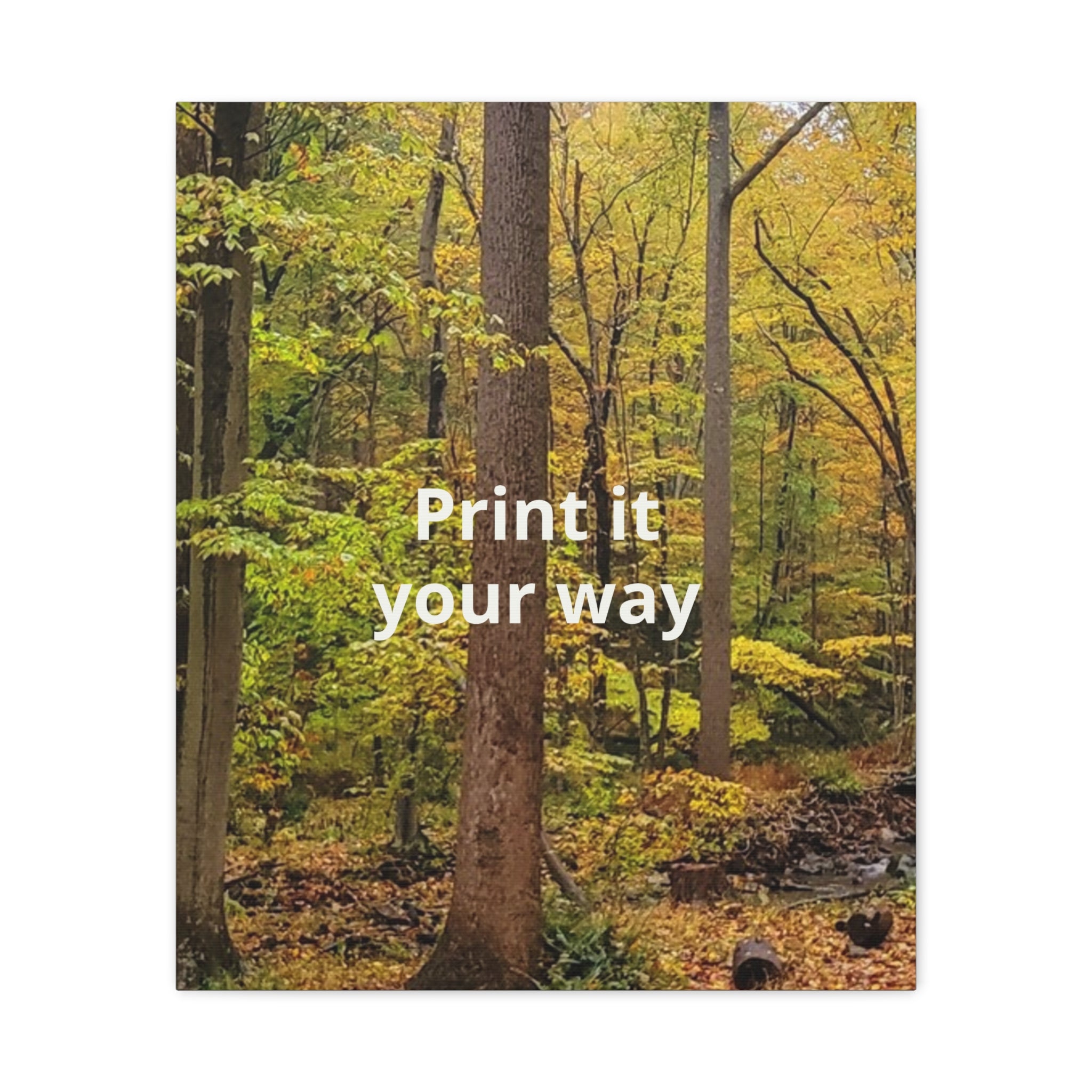 Matte Canvas, Stretched, 1.25"