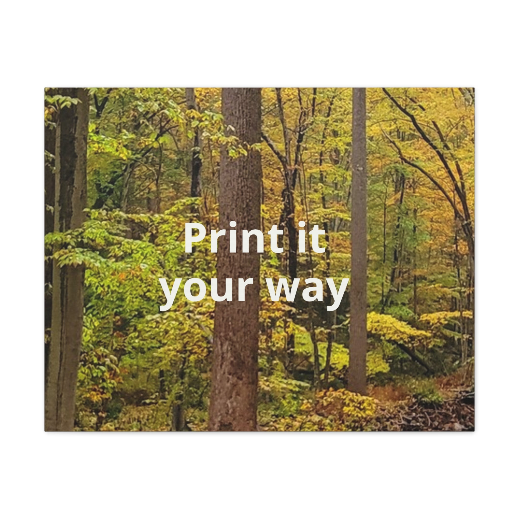 Matte Canvas, Stretched, 1.25"