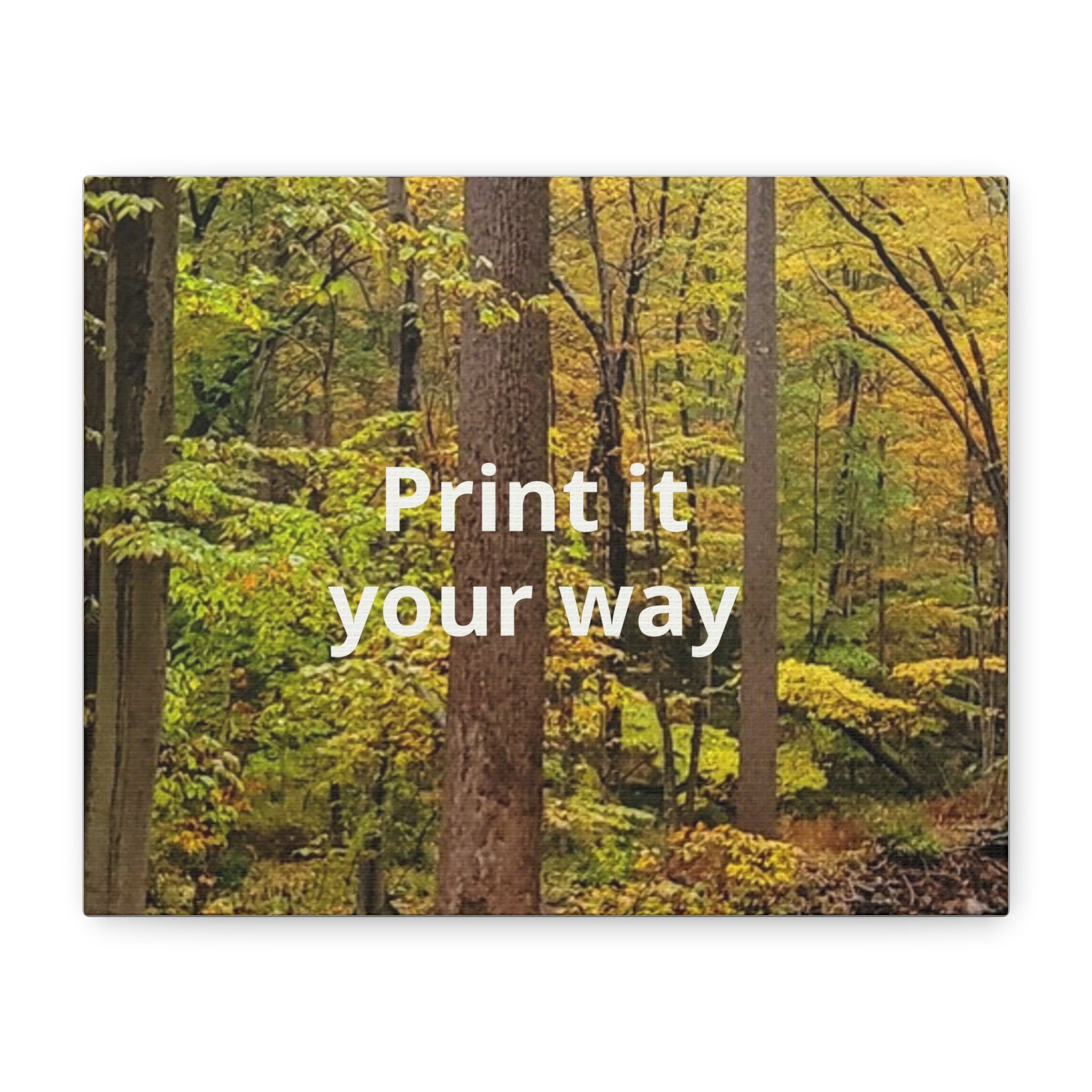 Matte Canvas, Stretched, 1.25"