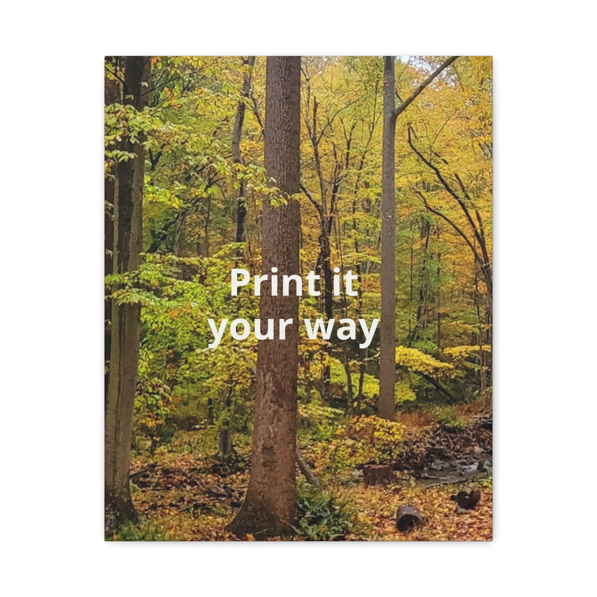 Matte Canvas, Stretched, 1.25"