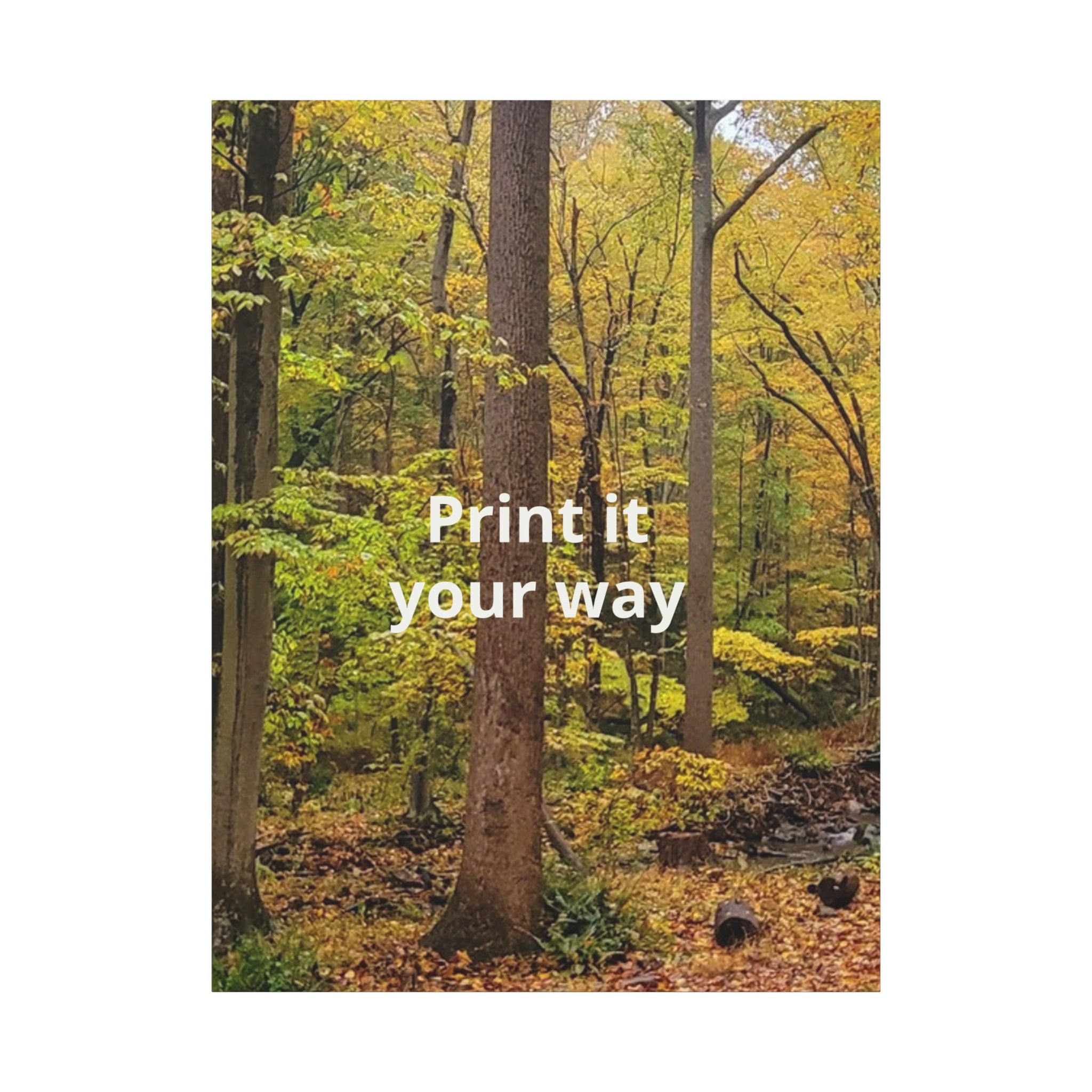Matte Canvas, Stretched, 1.25"