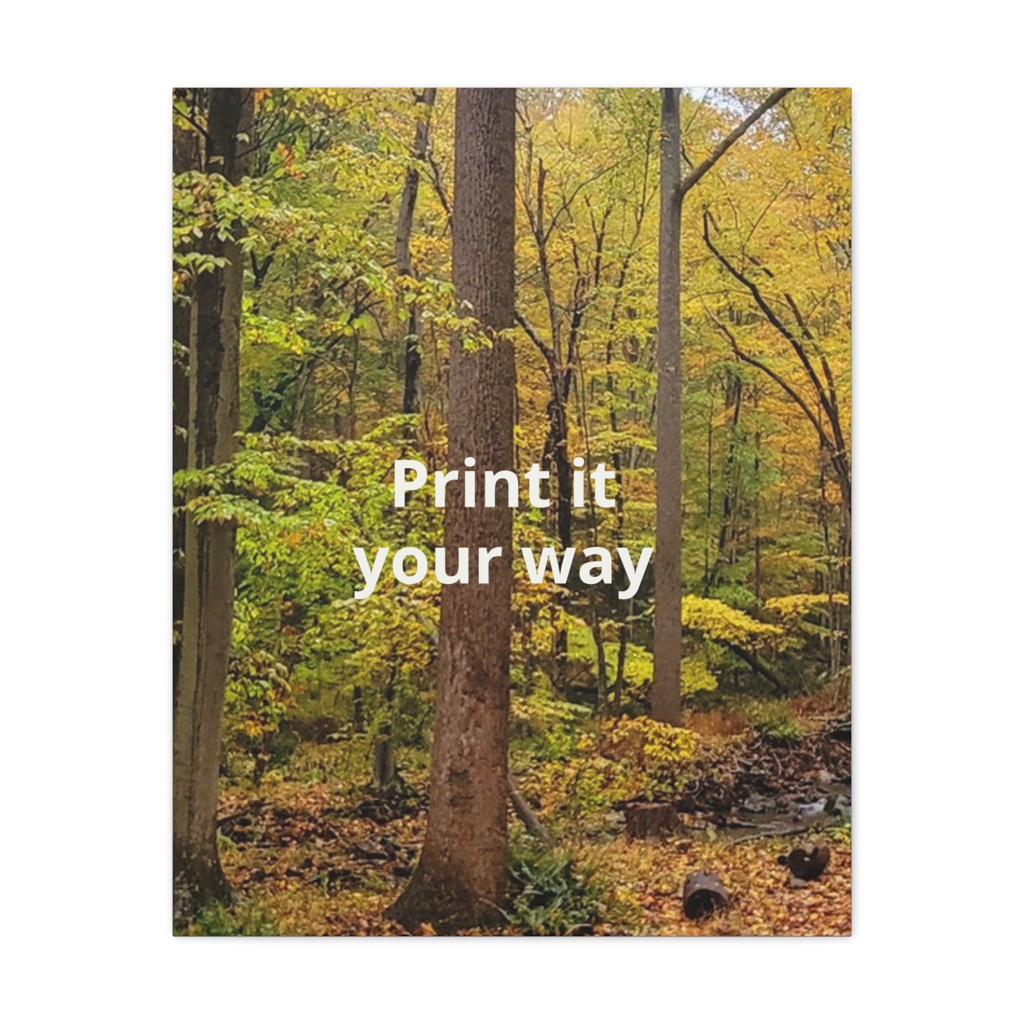 Matte Canvas, Stretched, 1.25"