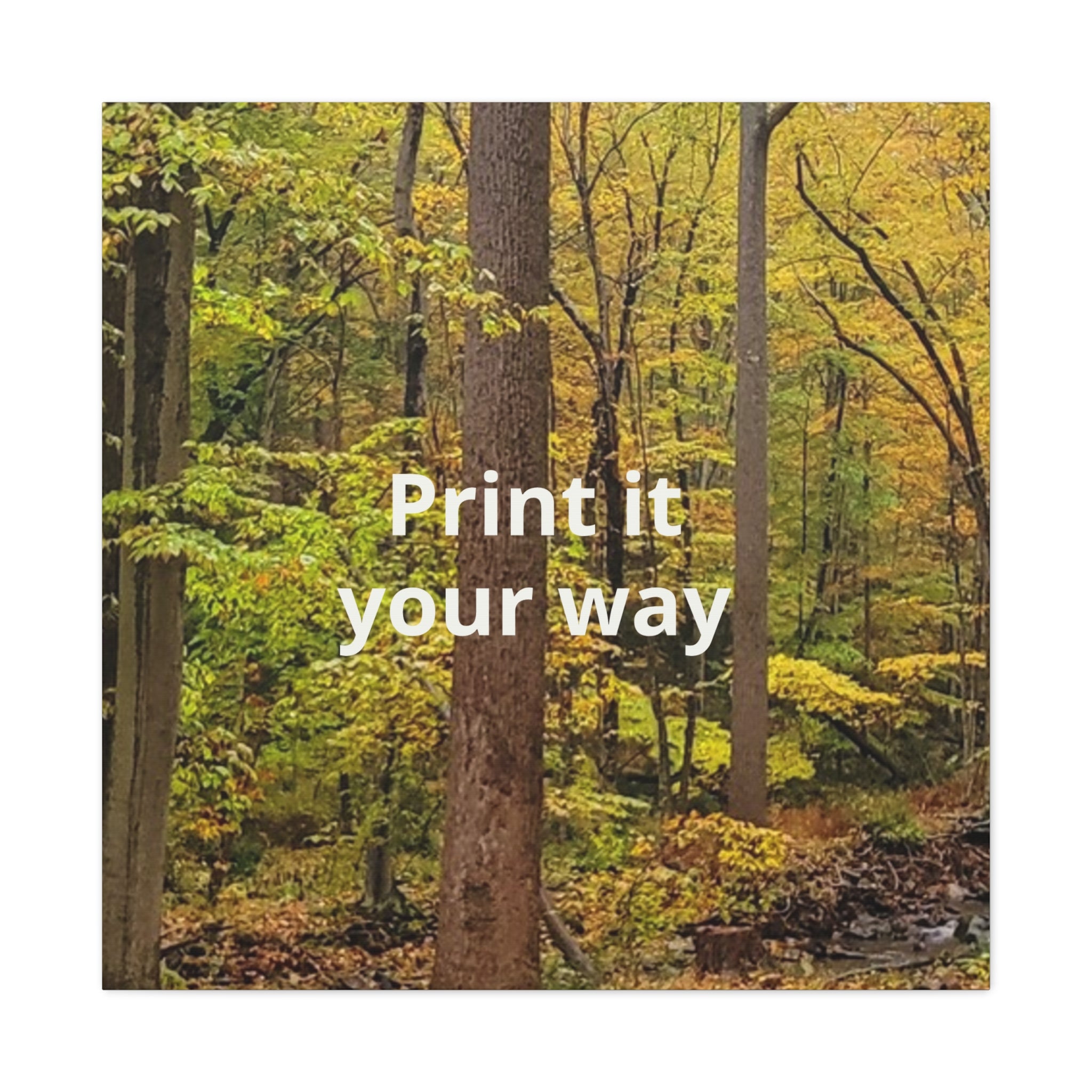 Matte Canvas, Stretched, 1.25"